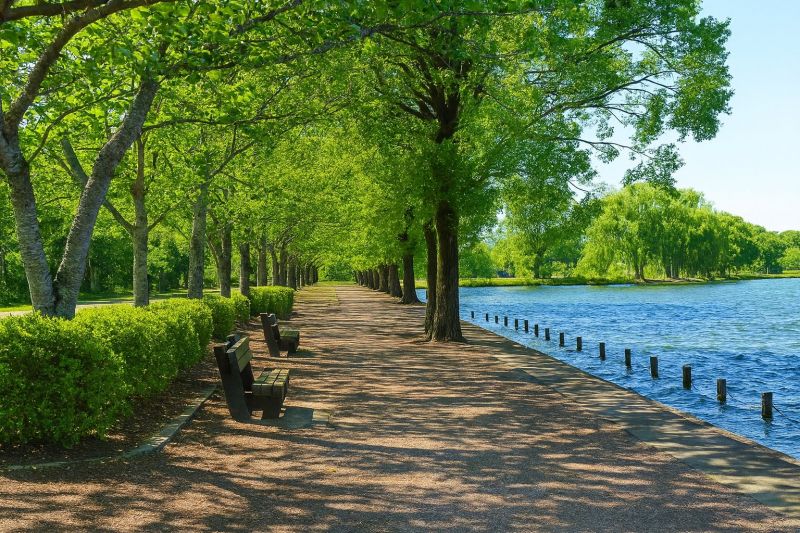 Best Shower Installation pros in High Ridge, MO